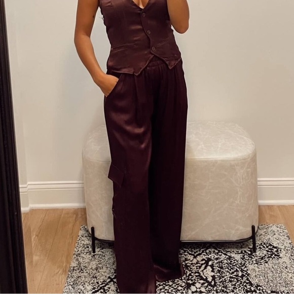 NWT Young Fabulous & Broke Findlay Satin Cargo Carpenter Pants in Raisin - M - Picture 16 of 16